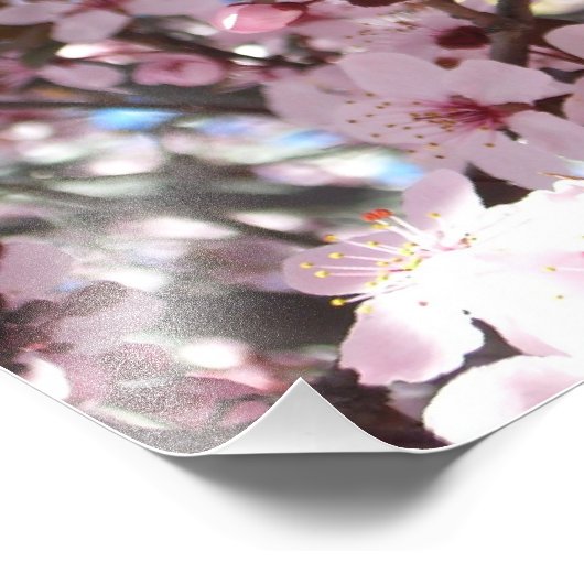 観賞用の花の木の上のピンクの花 フォトプリント            (角)