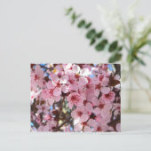 観賞用の花の木の上のピンクの花 ポストカード (スタンド正面)