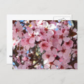 観賞用の花の木の上のピンクの花 ポストカード (正面/裏面)