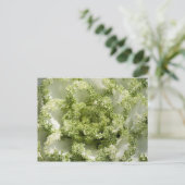 観賞用キャベツ ポストカード (スタンド正面)