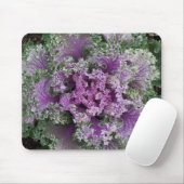 観賞用中葉キャベツ植物 マウスパッド (マウス)