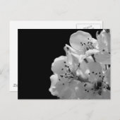 観賞用梨… ポストカード (正面/裏面)