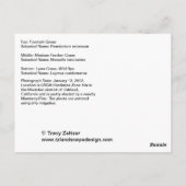 観賞用草 ポストカード (裏面)