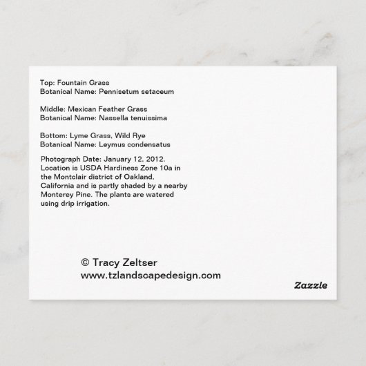 観賞用草 ポストカード (裏面)