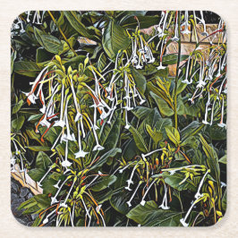 観賞用開花たばこ紙コースター スクエアペーパーコースター