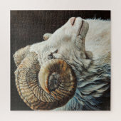 角のあるアイスランドのラムの白い羊 ジグソーパズル (縦)