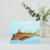 角のあるセロビン ポストカード (スタンド正面)