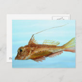 角のあるセロビン ポストカード (正面/裏面)