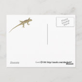 角のあるヒキガエル ポストカード (裏面)