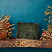 角のあるヒバリ フォトプラーク (側面)