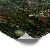 角のあるヒバリ ポスター (角)