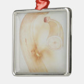 角のオオバコ メタルオーナメント (左)