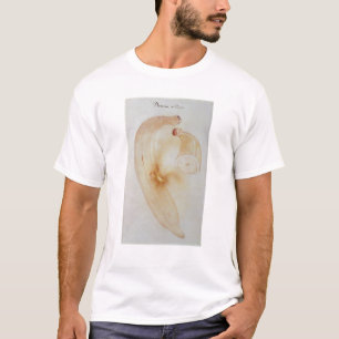 角のオオバコ Tシャツ