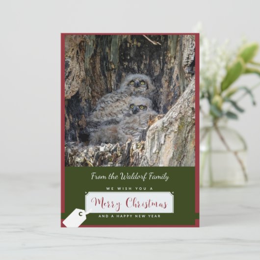 角の素晴らしフクロスのクリスマスカード シーズンカード (スタンド正面)