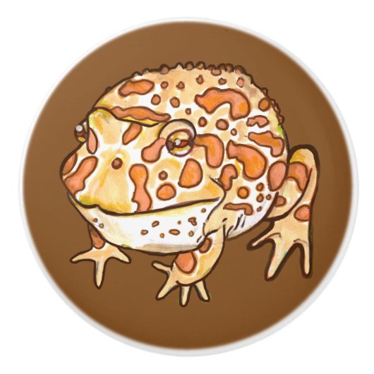 角の華美カエル セラミックノブ (正面)