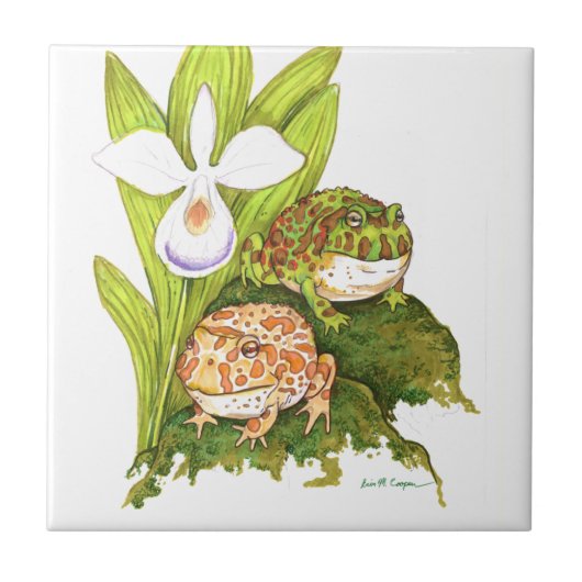 角の華美カエル タイル (正面)