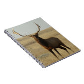 角のE13ブルエルクグラス ノートブック (右側)