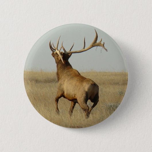 角のE23ブルエルクグラス 缶バッジ (正面)