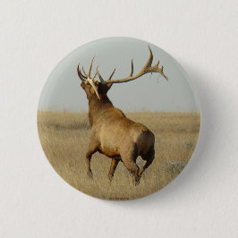 角のE23ブルエルクグラス 缶バッジ