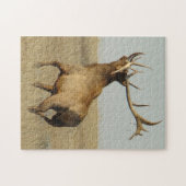 角のE23 Bullのオオシカの草 ジグソーパズル (横)