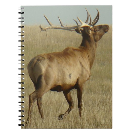 角のE35ブルエルクグラス ノートブック (正面)