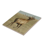 角のE35 Bullのオオシカの草 タイル (側面)