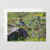 角ばったヒバリ ポストカード (正面/裏面)