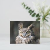 角ふくろ素晴らし付き葉書 ポストカード (スタンド正面)