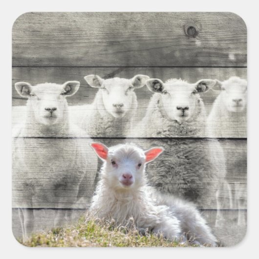 角ステッカー スクエアシール (正面)