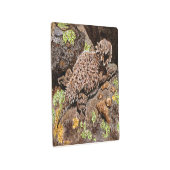 角トカゲプリント(メタル) メタルプリント (3/4)