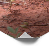 角トカゲ ポスター (角)