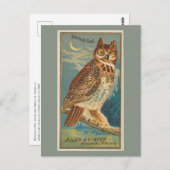 角フクロウ ポストカード (正面/裏面)