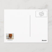 角付きの可愛い若い赤い牛 ポストカード (裏面)