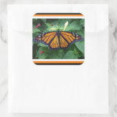 角光沢ステッカー、（昆虫）オオカバマダラ、モナークスタイル#3b スクエアシール (バッグ)