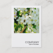 角写真0323 – 蜂蜜を作る 名刺 (正面)