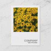 角写真0338 – 黒い目のサザンズ(Rudbeckia H) 名刺 (正面)