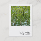 角写真0348 – メ日本のエデ 名刺 (正面)