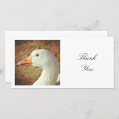角写真 – ガチョウ サンキューカード (正面/裏面)