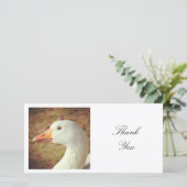 角写真 – ガチョウ サンキューカード (スタンド正面)