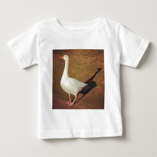 角写真 – ガチョウ ベビーTシャツ (正面)