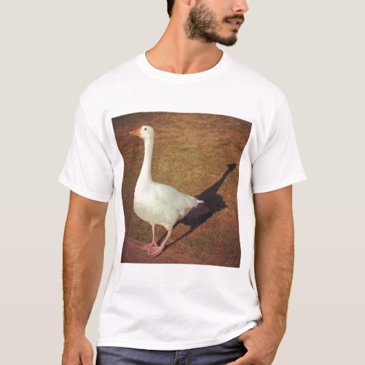 角写真 – ガチョウ Tシャツ (正面)