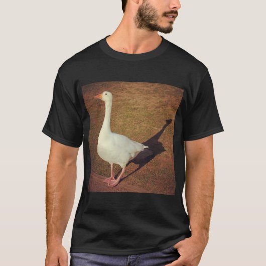 角写真 – ガチョウ Tシャツ (正面)