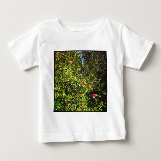 角写真 – マグノリアブッシュ02 ベビーTシャツ (正面)