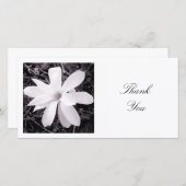 角写真 – マグノリア サンキューカード (正面/裏面)