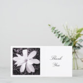 角写真 – マグノリア サンキューカード (スタンド正面)