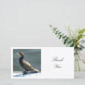 角写真 – 鵜 サンキューカード (スタンド正面)