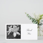 角写真 – Azaleas サンキューカード (スタンド正面)