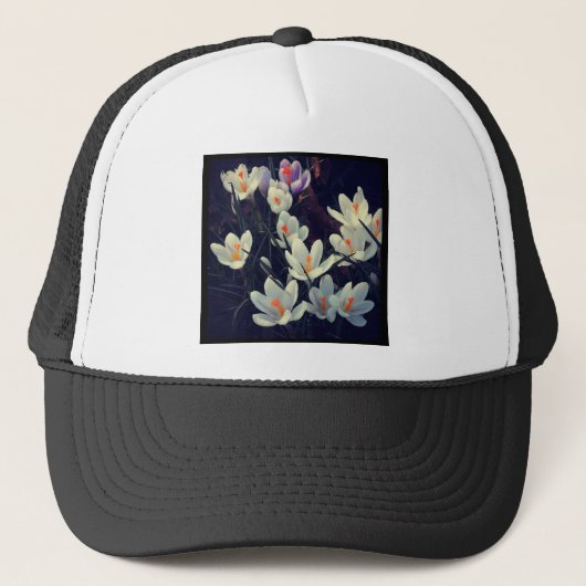 角写真 – Crocuses キャップ (正面)