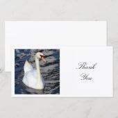 角写真 – Swan サンキューカード (正面/裏面)