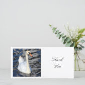 角写真 – Swan サンキューカード (スタンド正面)